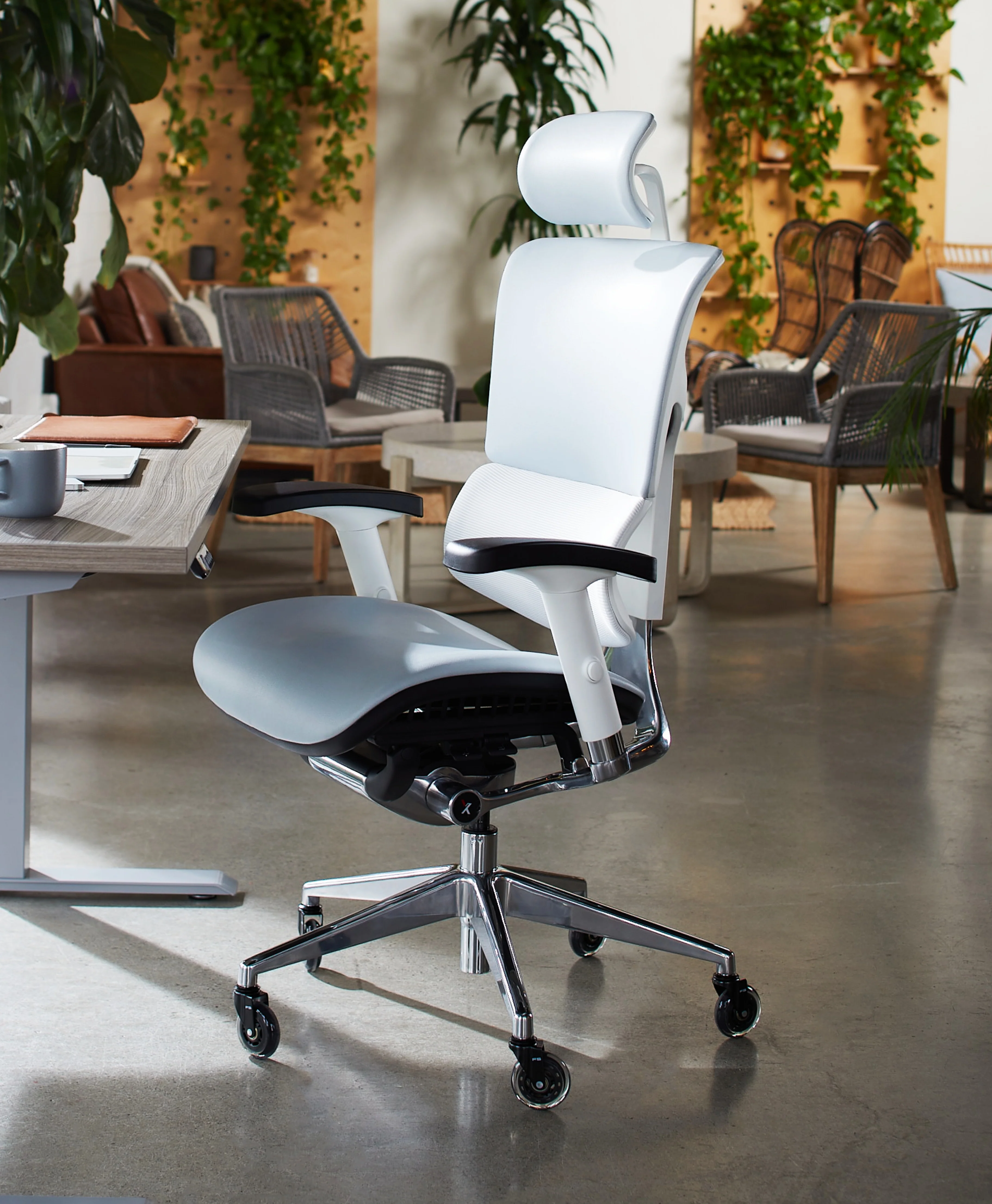 X-Tech Executive - Image 12