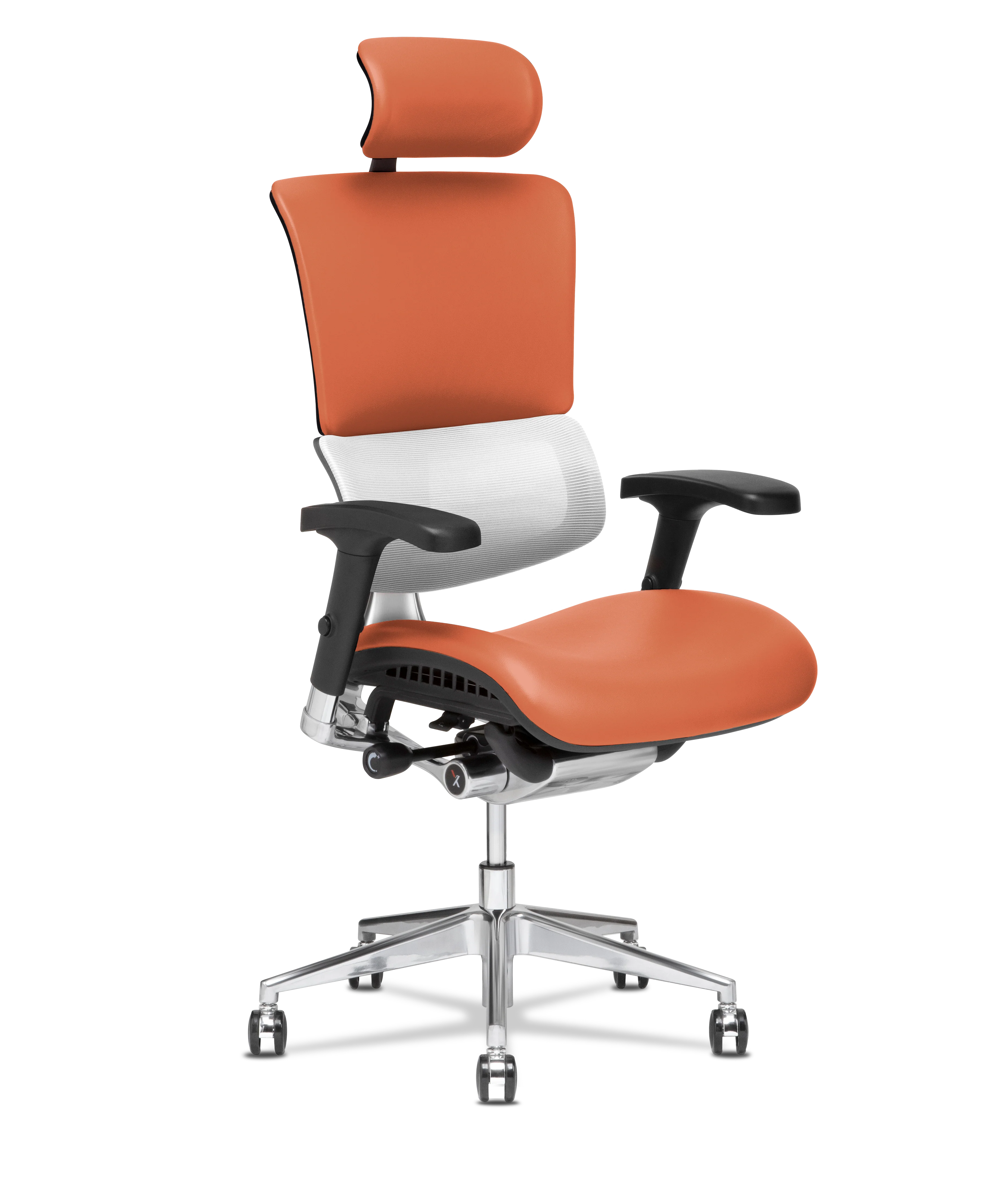 X-Tech Executive - Image 83