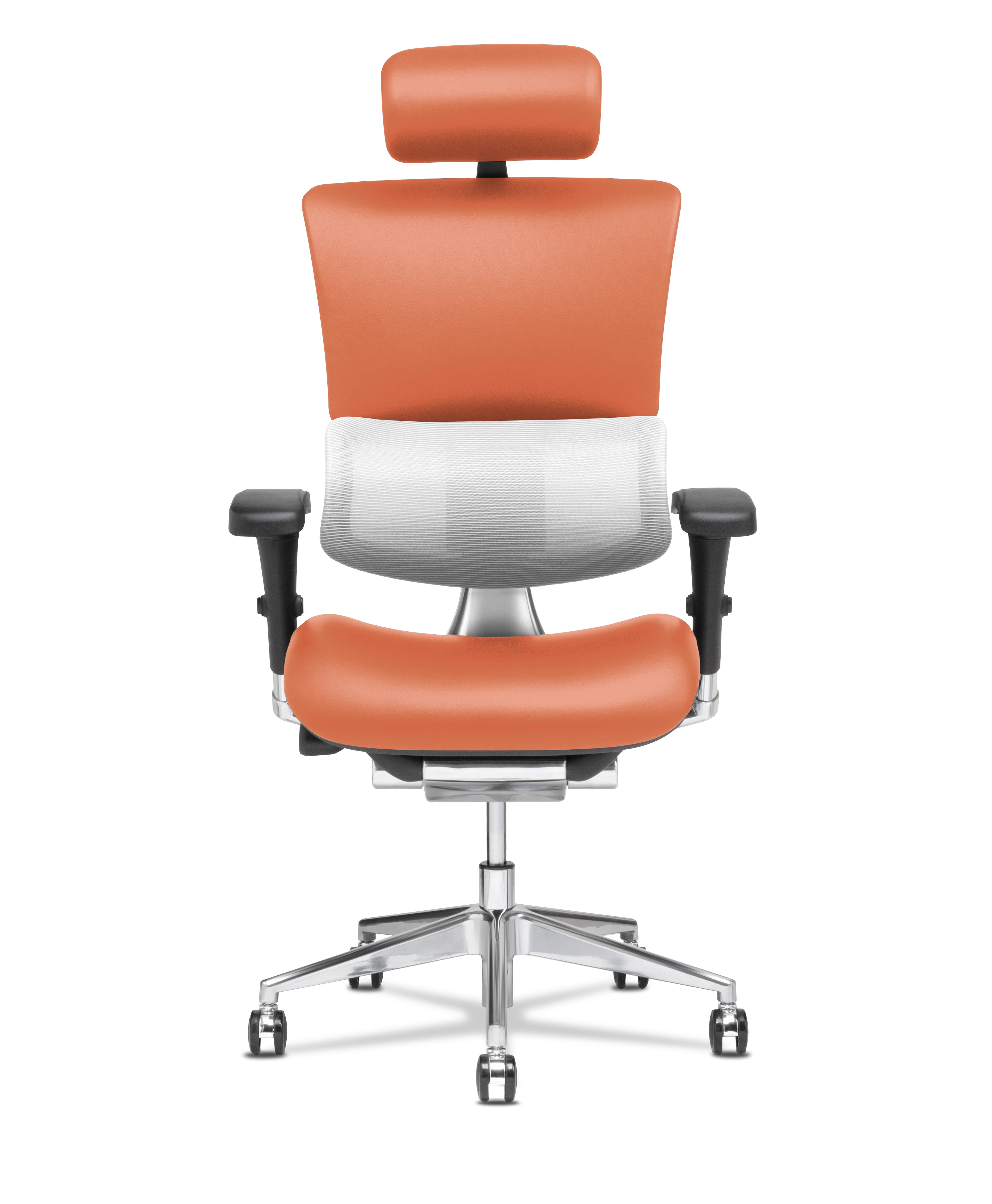 X-Tech Executive - Image 84