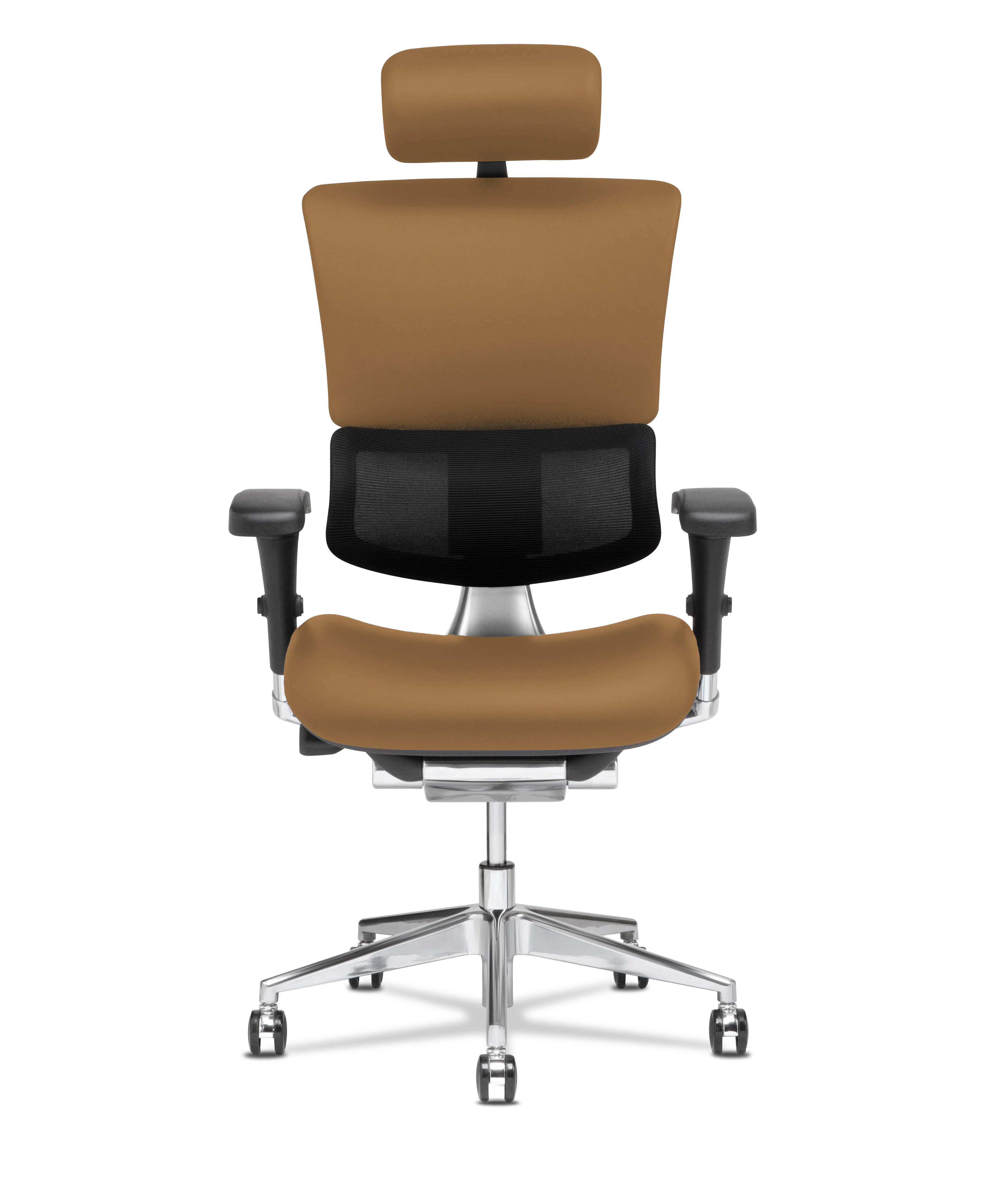 X-Tech Executive - Image 87