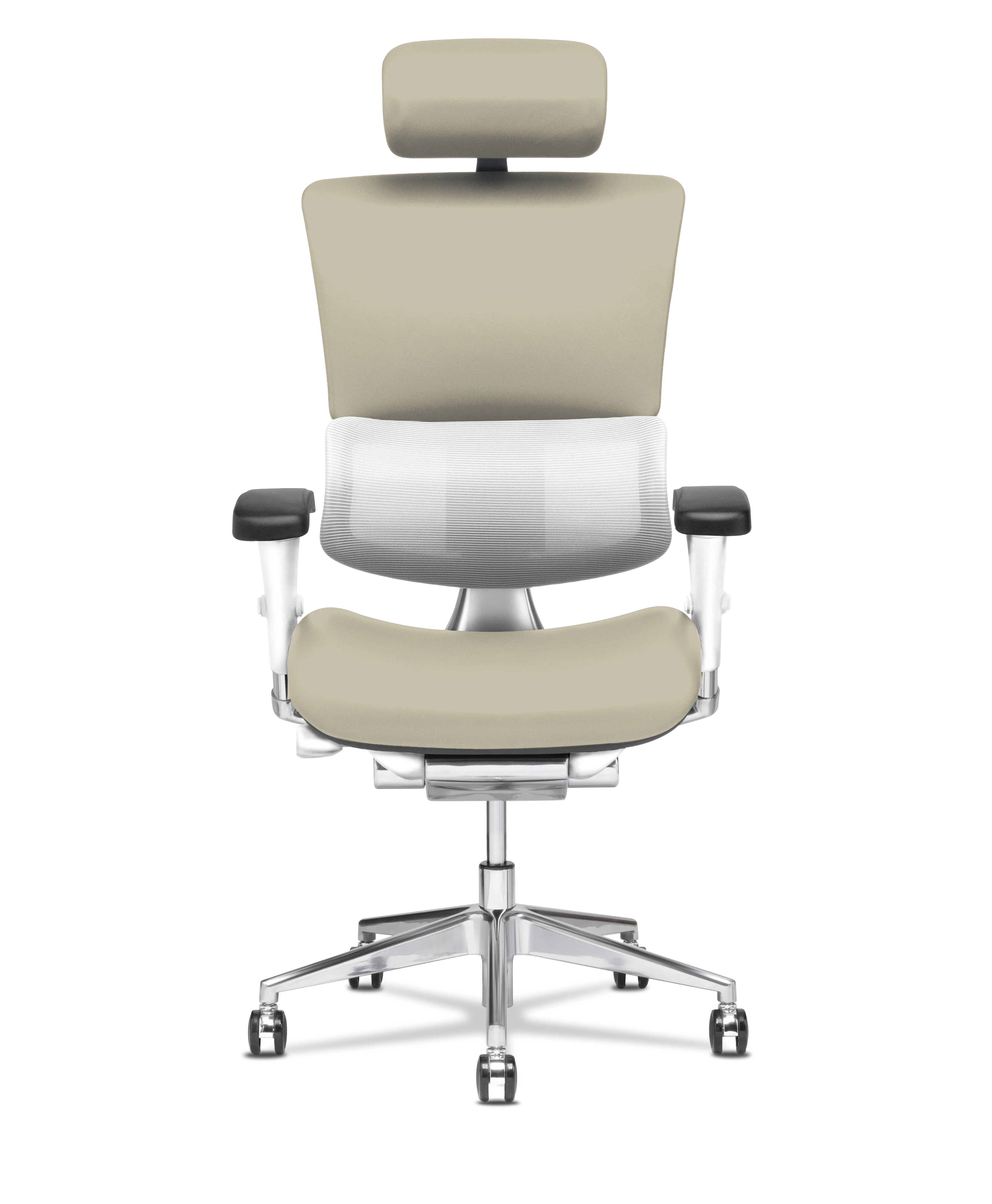 X-Tech Executive - Image 90